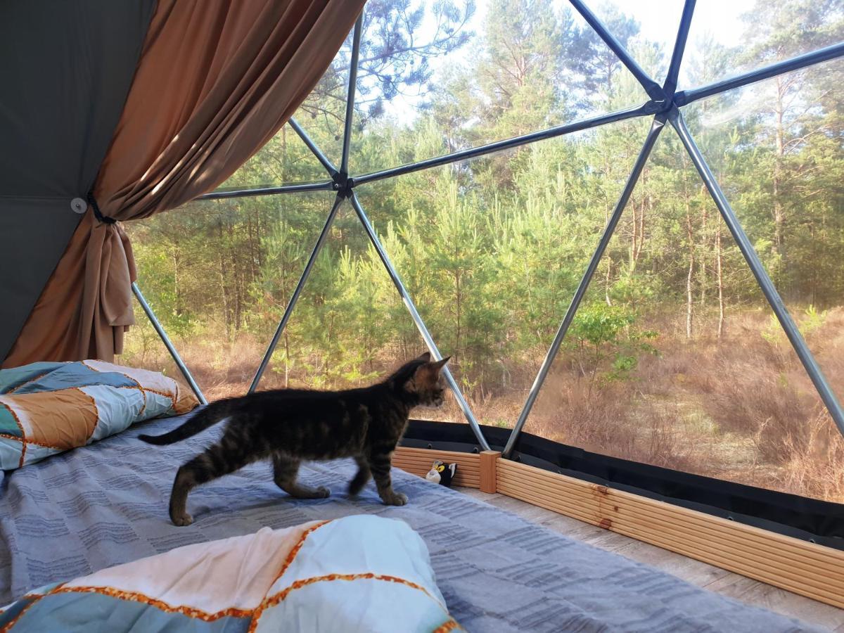 Hotel Podniebny Glamping Borsk Exterior foto